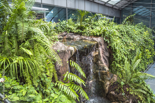 Inside the butterfly Garden of Singapore Airport