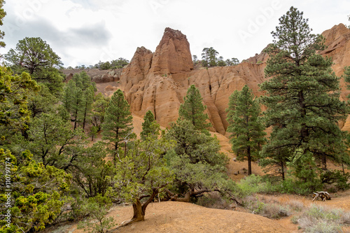 Red Mountain landscapes in Northern Arizona