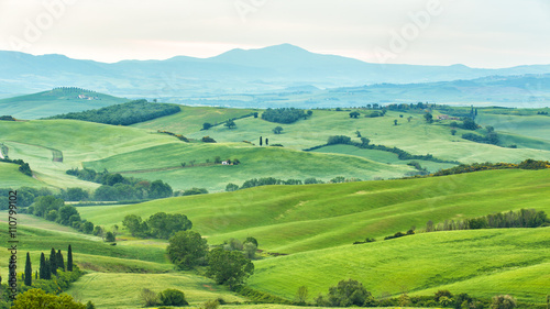Landscape of Tuscany, hills and meadows, Toscana - Italy © Lukas Gojda