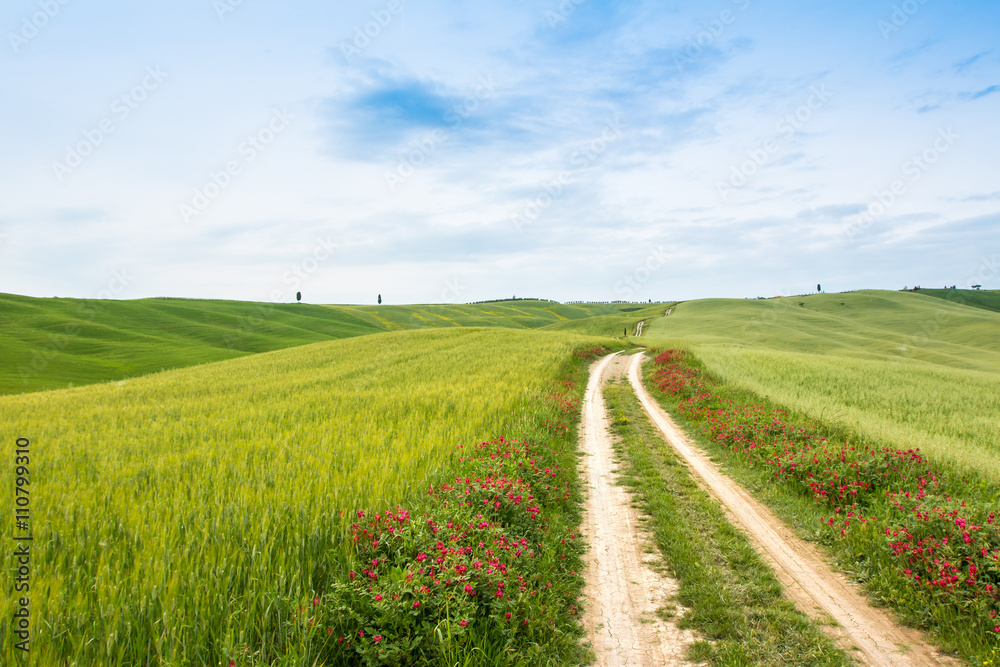Landscape of Tuscany, hills and meadows, Toscana - Italy