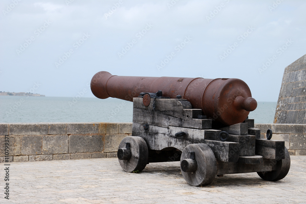 canon Fort Louvois, Charente Maritime