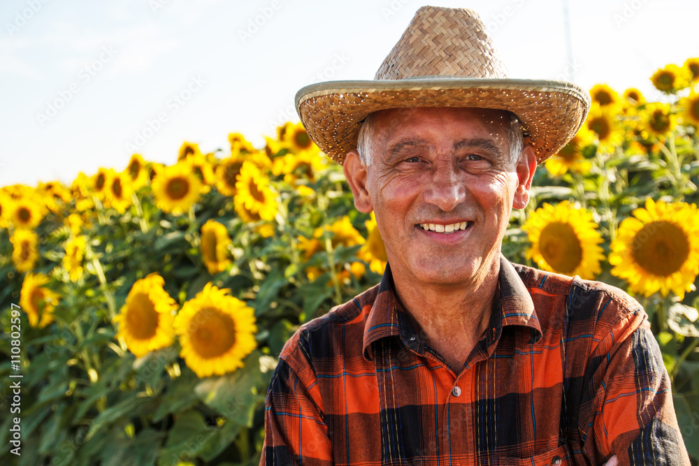 Portrait of senior farmer in a sunflowers field