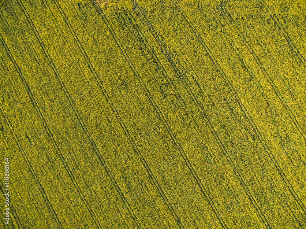 Farmland from above - aerial image of a lush green filed Farmland from above - aerial image of a lush green filed
