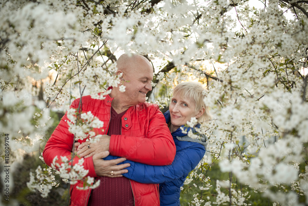 happy seniors couple embrace and smile near blossom tree; happy seniors couple embrace and smile near blossom tree;