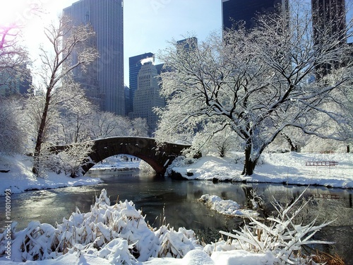 Central park in early winter morning