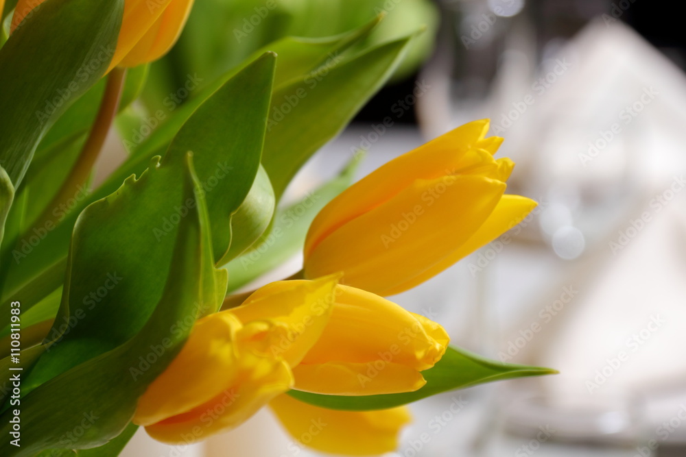 Yellow tulips./Decoration of yellow tulips for a holiday. Yellow tulips./Decoration of yellow tulips for a holiday.