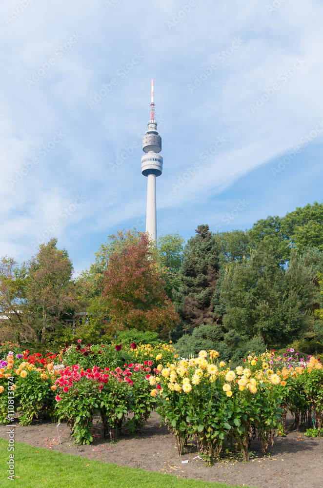 Obraz premium telecommunication tower
