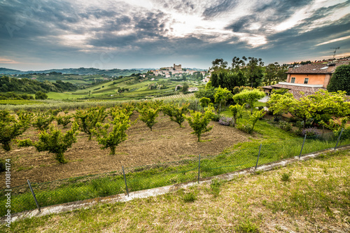 cultivated fields dominated by Castle photo