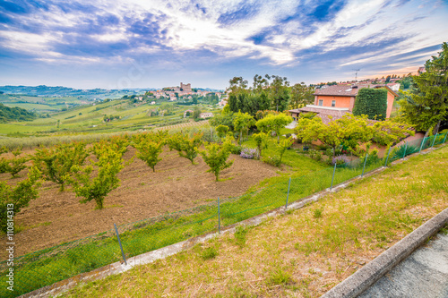 cultivated fields dominated by Castle photo