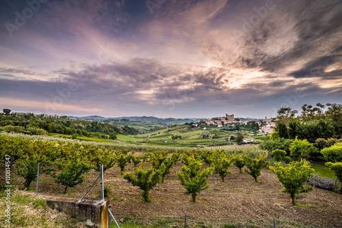 cultivated fields dominated by Castle photo