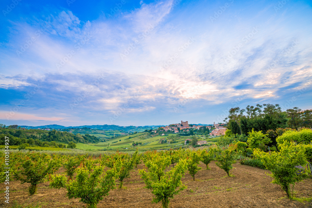 cultivated fields dominated by Castle