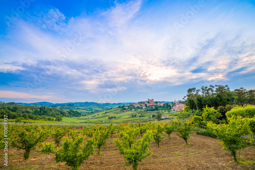 cultivated fields dominated by Castle photo
