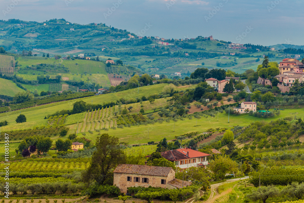 cultivated fields in the hills cultivated fields in the hills