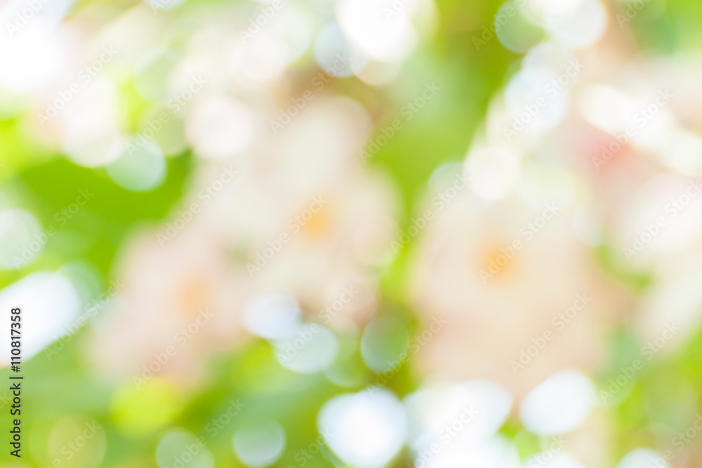 Obraz premium blurred of flowers background