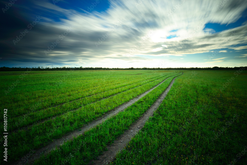 Grassland