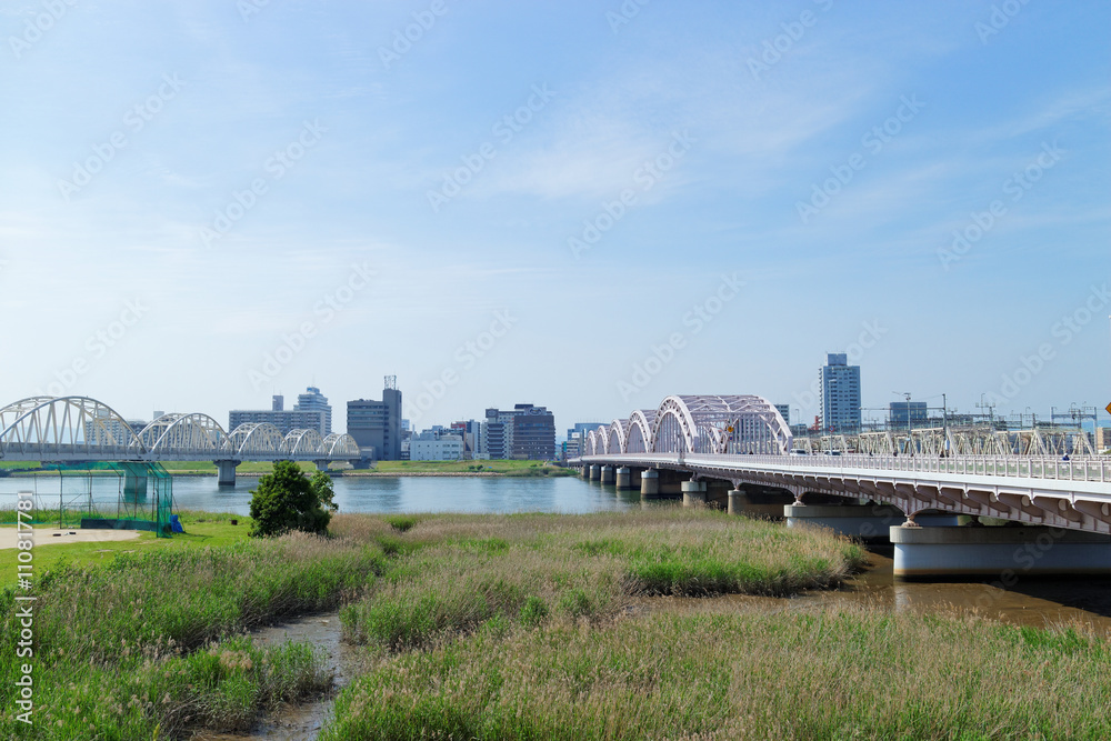 Obraz premium 大阪 北区中津から見る十三大橋