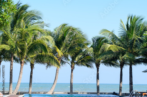 Coconut trees on the beach © nuiiko