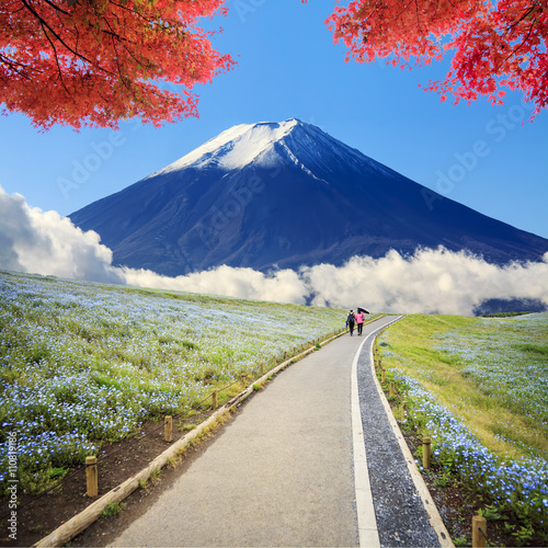 imageing of Mountain, Tree and Nemophila at Hitachi Seaside Park photo