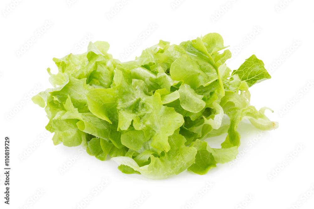 Chopped oakleaf lettuce on White Background. Chopped oakleaf lettuce on White Background.