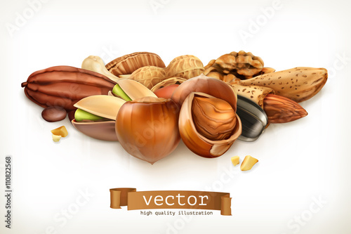 Nuts, vector illustration isolated on white