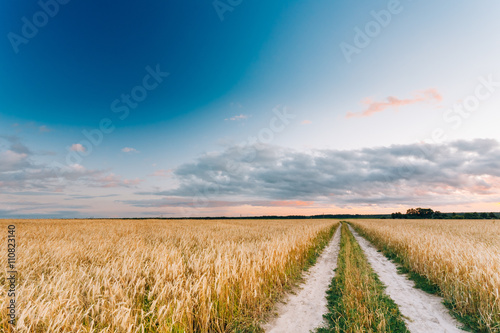 Rural Countryside Road Through Wheat Field Landscape. Yellow Bar photo