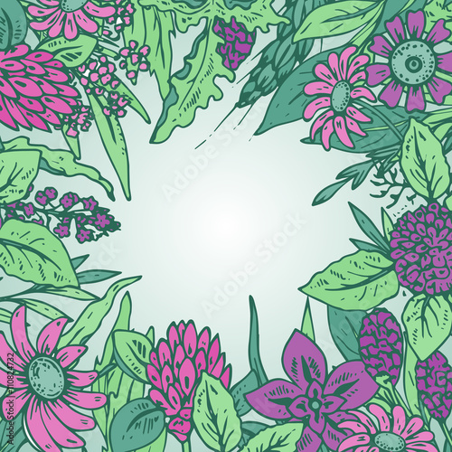 Vector frame with wildflowers and herbs