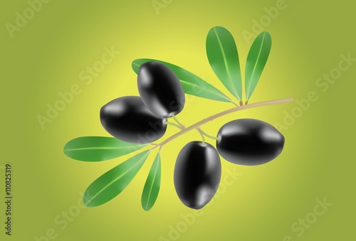 Illustration of Olive branch on green background