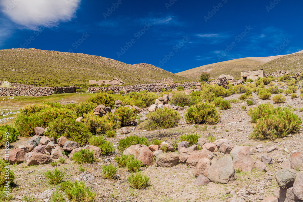 Village with adobe houses on bolivian Altiplano