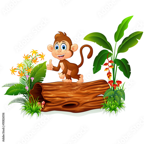 Cute monkey posing on tree trunk
