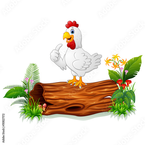 Cute hen posing on tree trunk
