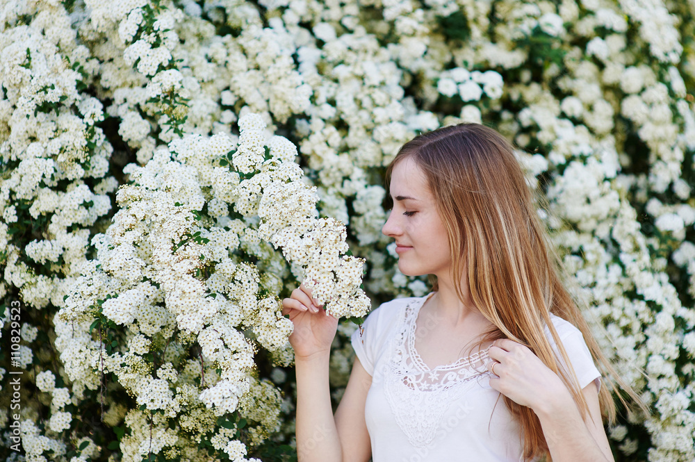beautiful woman walking in the park near the white flowering trees beautiful woman walking in the park near the white flowering trees