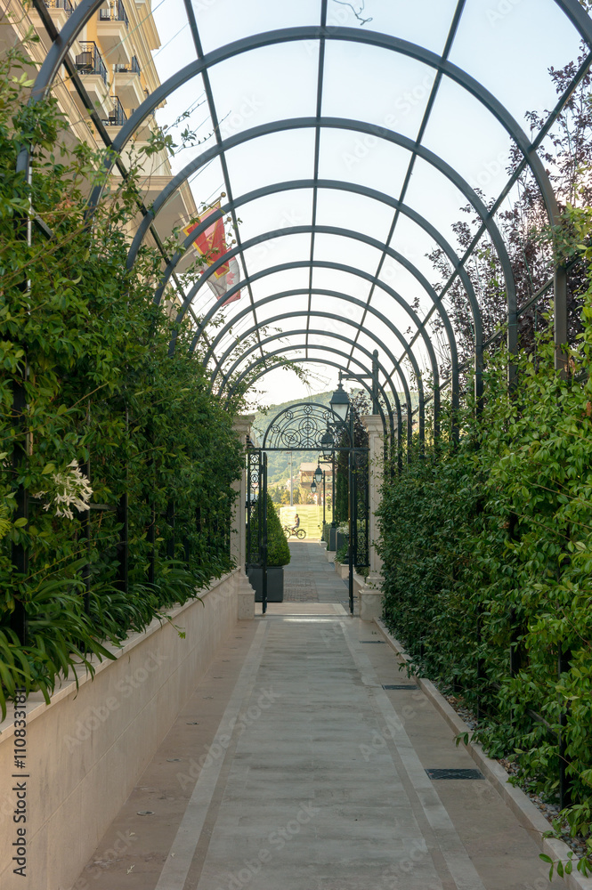 green arcs made of plants above pathway green arcs made of plants above pathway