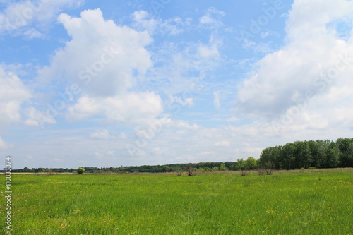 Green meadow and blue sky 