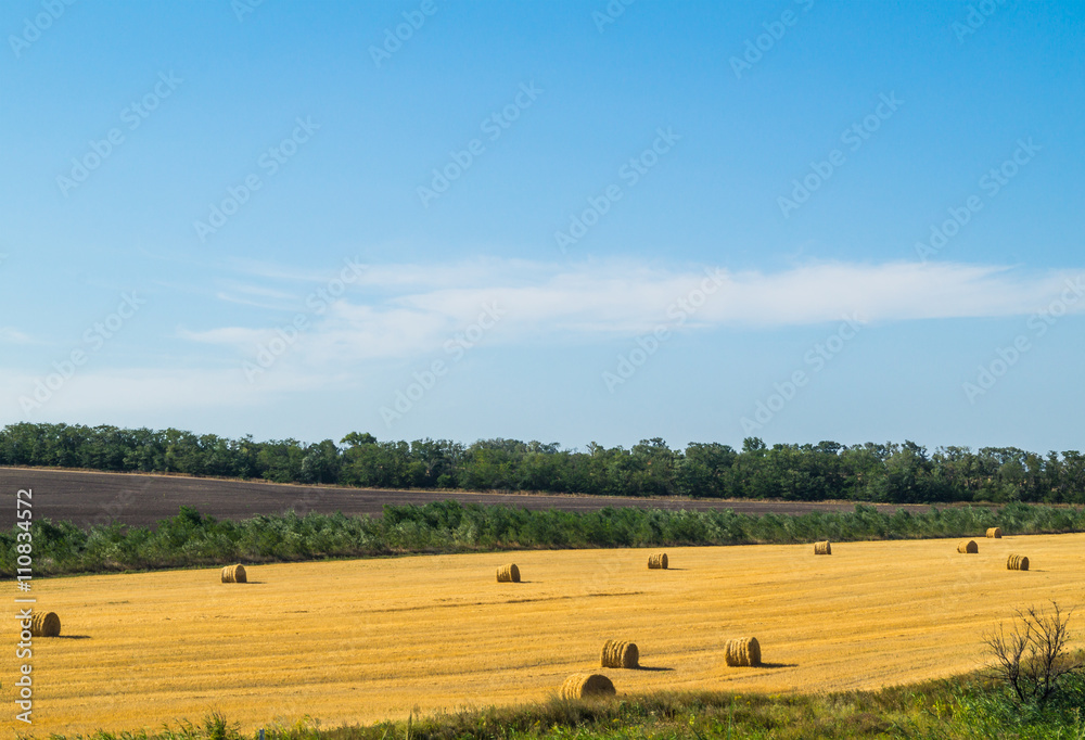 hay in the hot summer
