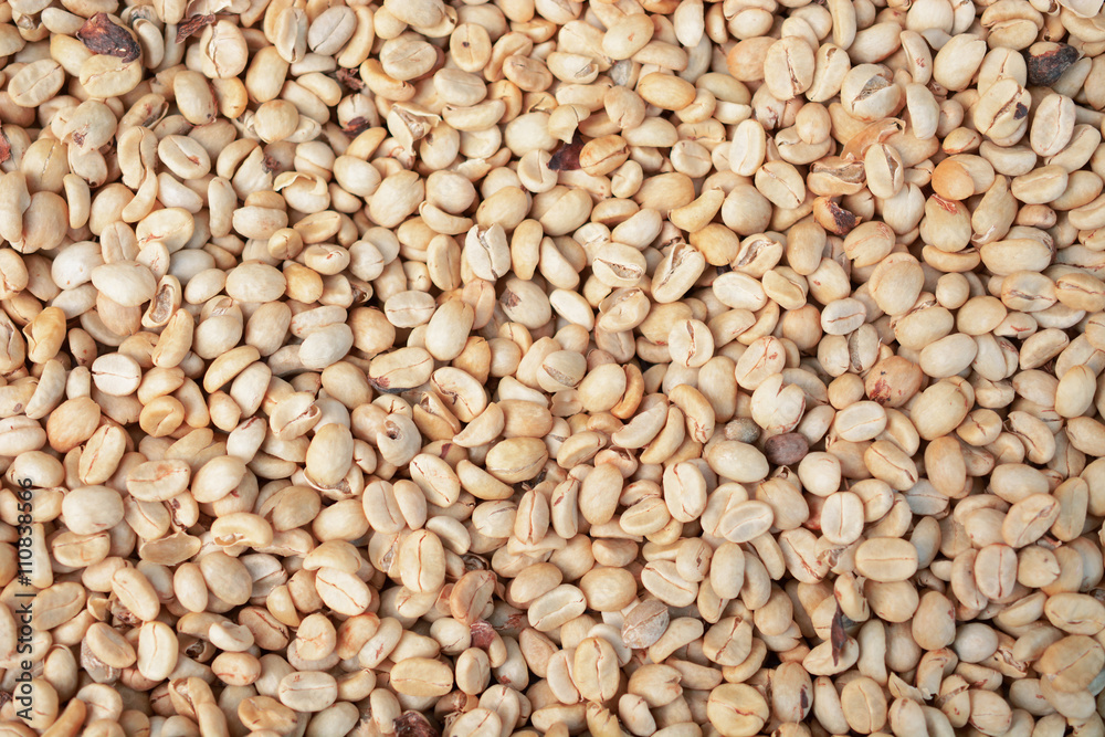 white coffee beans background white coffee beans background