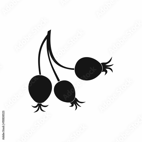 Briar fruits icon, simple style 