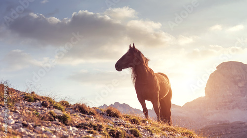 Beautiful mountain landscape with horses in the foreground
