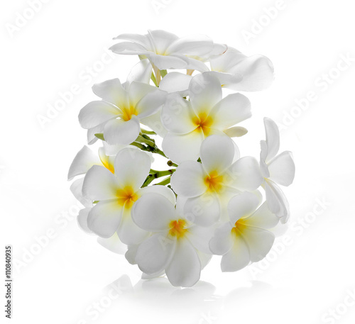 Plumeria flowers isolated on white background and clipping path © satjatoto