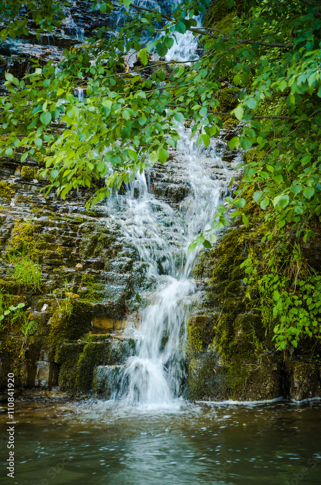 Mountain stream in summer