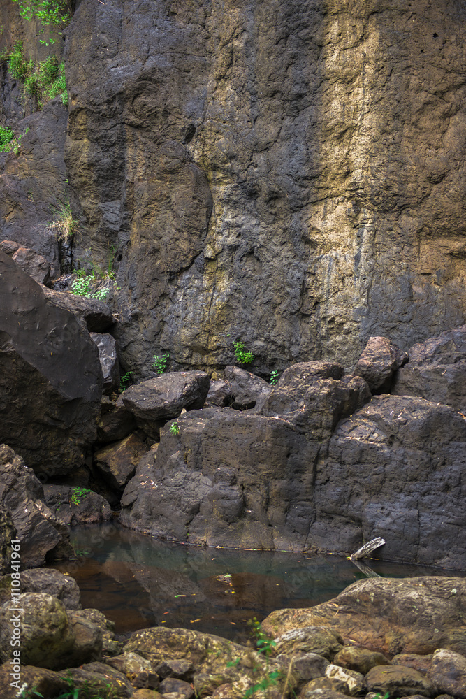 Large cliff face on the way to Purlingbrook falls in Springbrook National Park, Queensland. Large cliff face on the way to Purlingbrook falls in Springbrook National Park, Queensland.