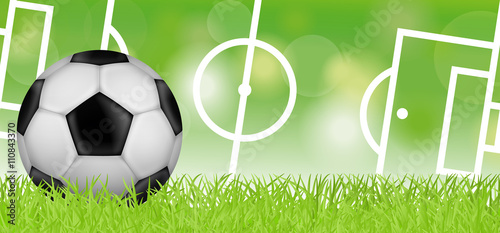 Fußballwiese mit Fußballfeld