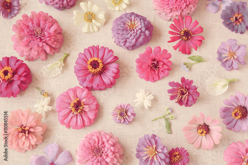 Pink flowers background, selective focus, toning