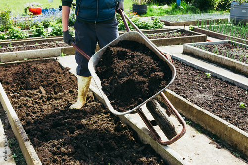 Ein junger Mann arbeitet im Garten photo