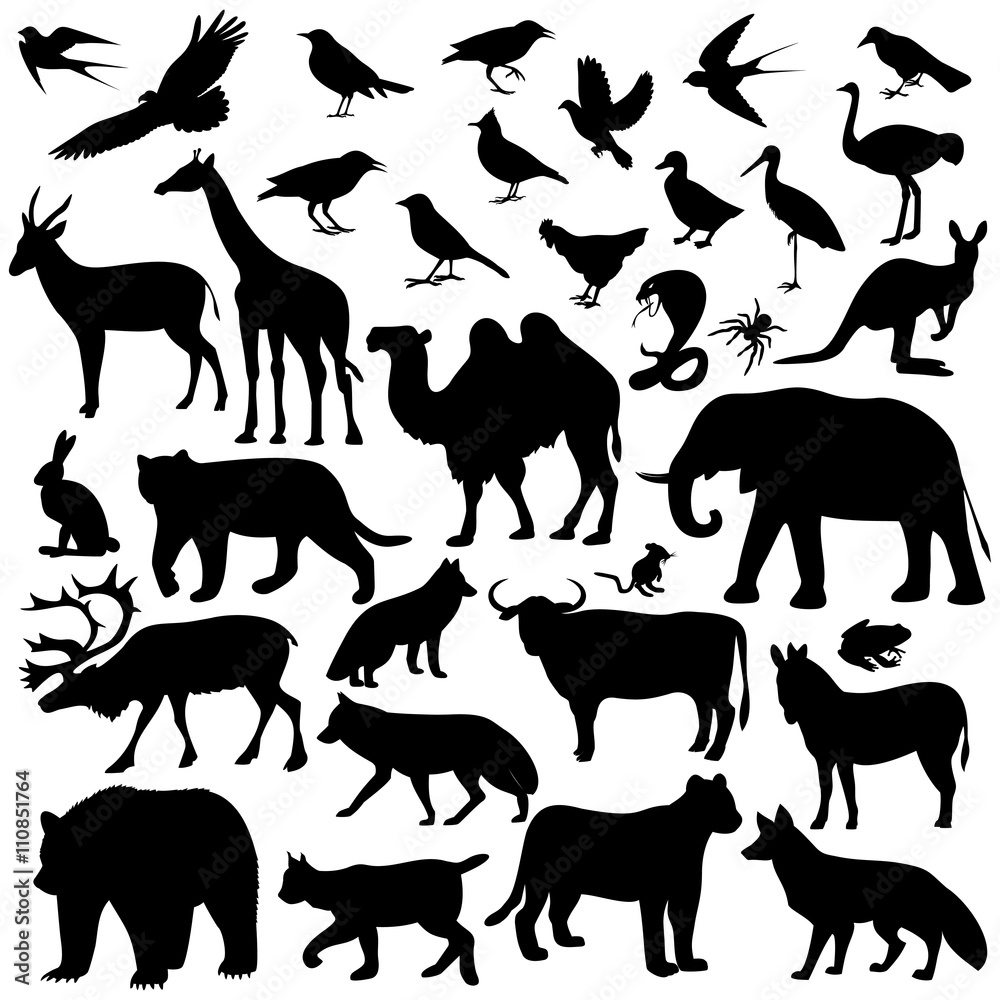 animal world animal world