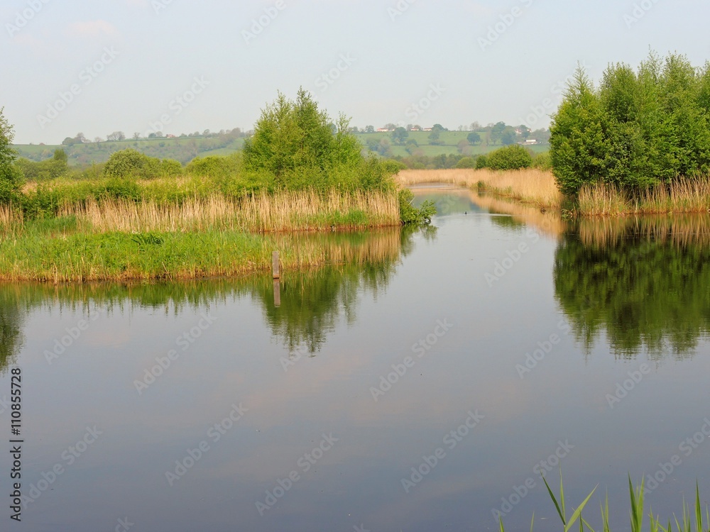 Nature reserve close to Shapwick Heath in Somerset, England. Nature reserve close to Shapwick Heath in Somerset, England.