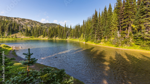 Clear forest lake in the mountains. Mount Rainier, Sunrise Area SHADOW LAKE TRAIL © khomlyak