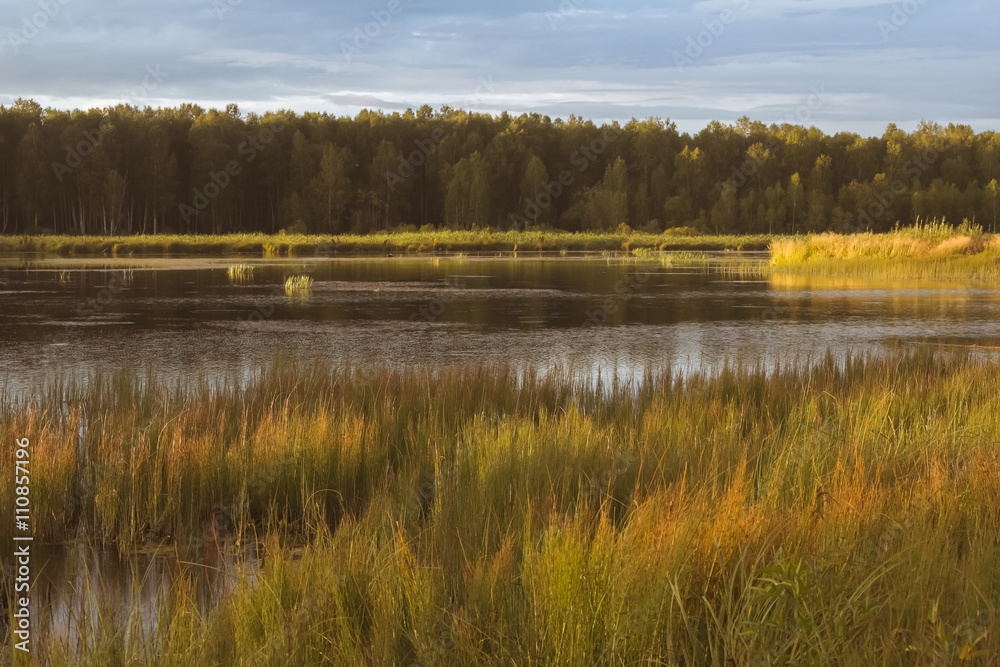 Small reservoir, the lake in the summer in the twilight of day. Небольшой водоём, озеро летом на закате дня. Small reservoir, the lake in the summer in the twilight of day. Небольшой водоём, озеро летом на закате дня.