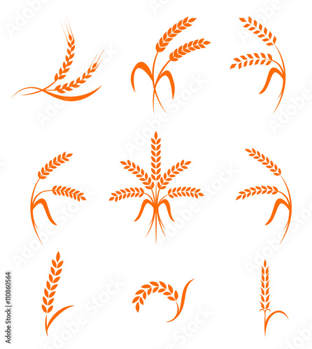 Wheat ears or rice icons set. Agricultural symbols isolated on white background.