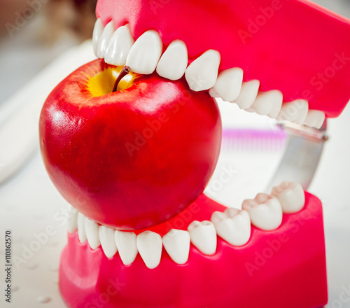 Dentures biting an apple photo