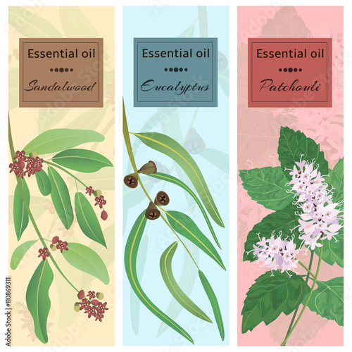 Essential oil set collection.
